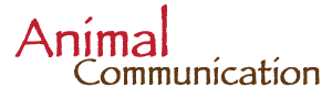 animal-communication3